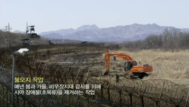 60년간 사람의 발길이 닿지 않은 천혜의 생태계 DMZ? 과연 그 이면에는? | 인스티즈