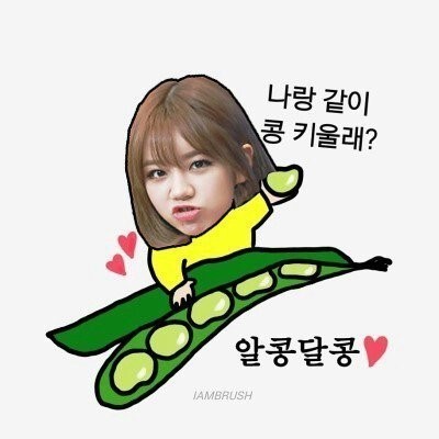 혜리콩 이미지