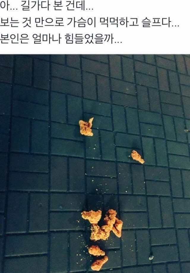 가슴이 먹먹해지는 사진 | 인스티즈