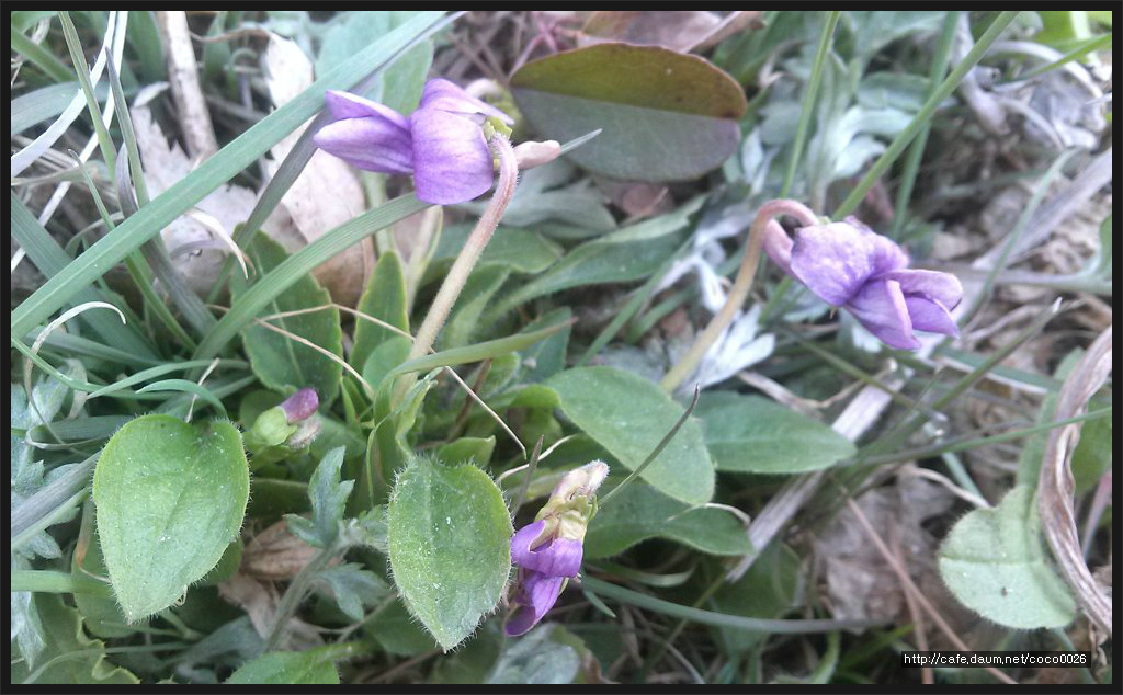 진성건설(주) 이미지