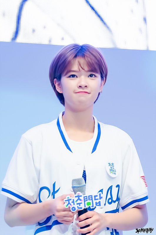 트와이스 정연 | 인스티즈