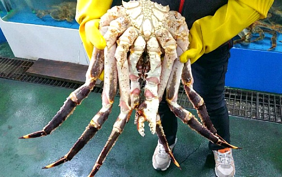 도매집 이미지