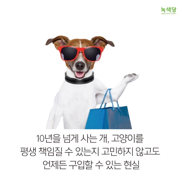 강아지 사지마세요 절대!!!!!!!!!!! (불쌍함주의) | 인스티즈