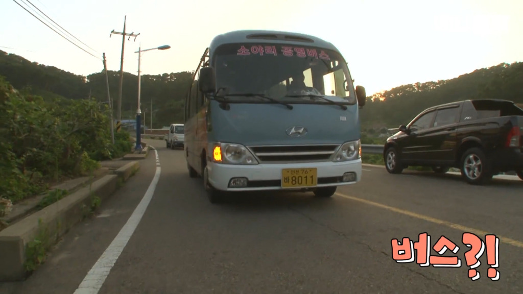혼자 버스타고 지인 만나러 가는 강아지 상연이.jpg | 인스티즈