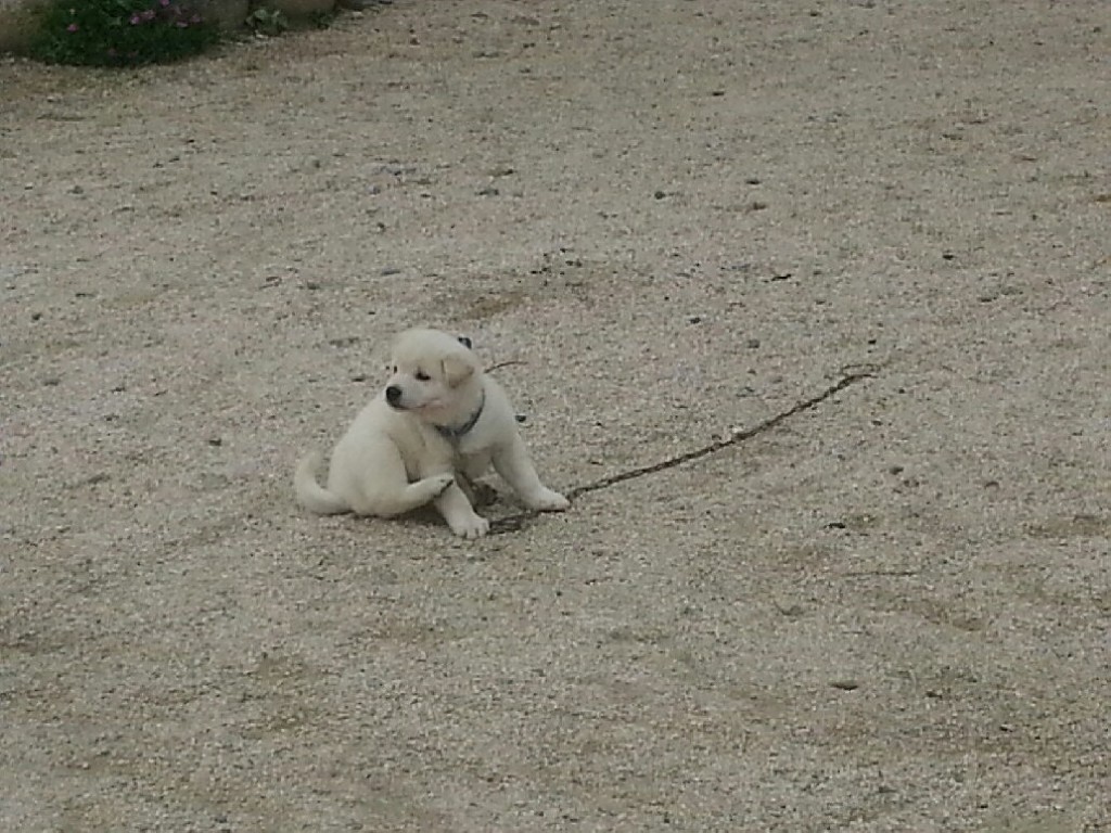 별마실 이미지