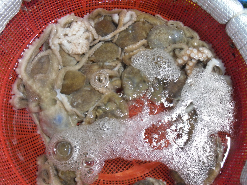 엄마식당 이미지