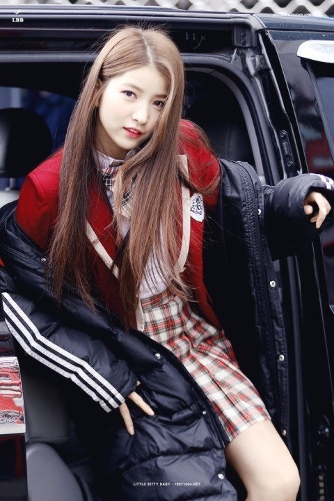 다님 이미지