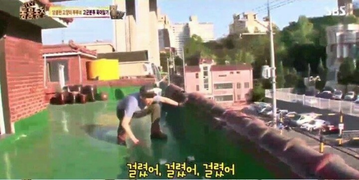 동물농장 PD의 역대급 당황 | 인스티즈