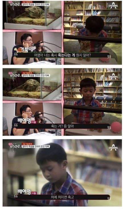 슬픔주의)눈물주의) 엄마의 죽음을 받아들이는 어린이 | 인스티즈