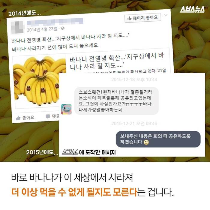  바나나 괴담의 진실 | 인스티즈