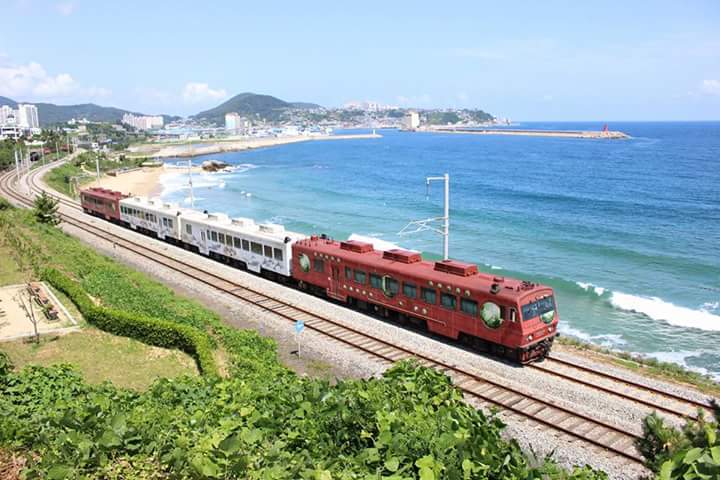 (주)푸른바다 이미지