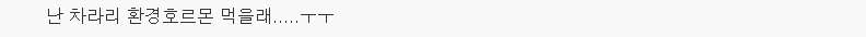 편의점 도시락 이용자 78%가 모르는 진실 | 인스티즈
