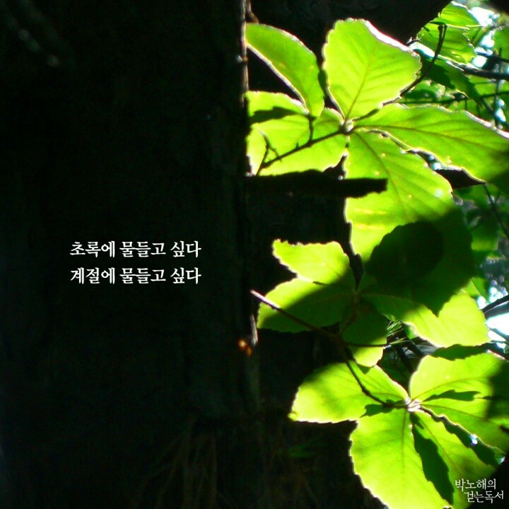 물드니 이미지