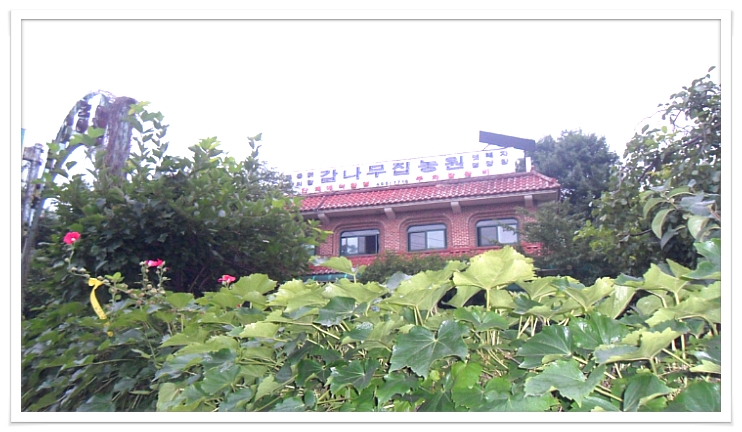 황제카센타 이미지