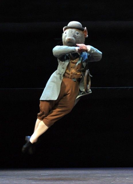동화를 발레로 영국 로열 발레단의 ＜ tales of beatrix potter ＞ | 인스티즈