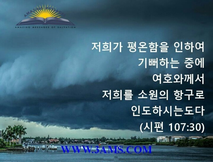 소원의항구 이미지