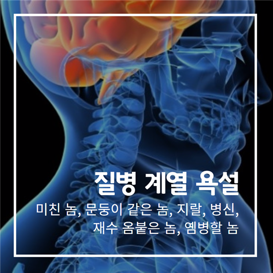  욕설 속에 숨은 어마무시한 비밀 | 인스티즈