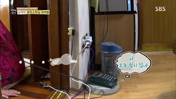 젊은층은 잘 모르는 SBS 꿀잼 예능.jpg | 인스티즈
