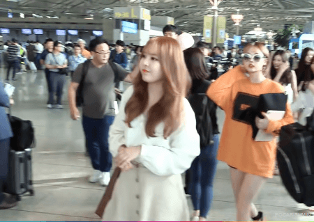 소나무 인천공항 대만 출국 움짤 | 인스티즈