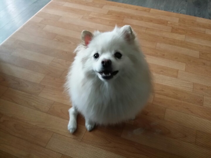 봉구 이미지