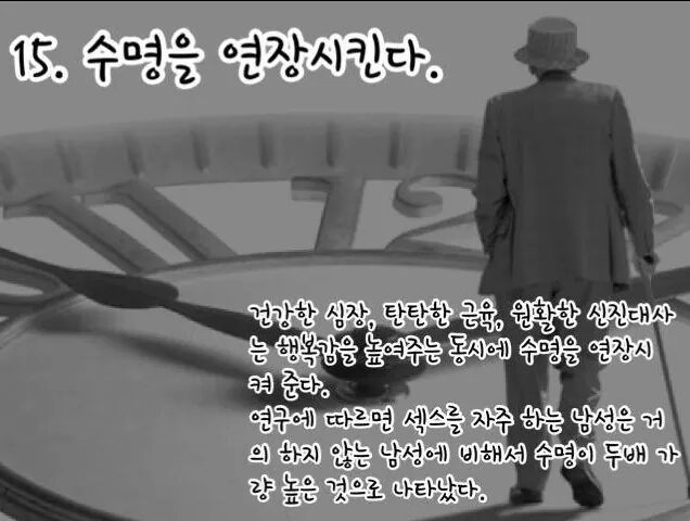 섹스를 매일해야하는 16가지 이유 | 인스티즈