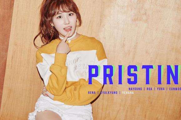 올해 3월 중 데뷔하는 아이돌 걸그룹 프리스틴 오피셜 프로필 | 인스티즈