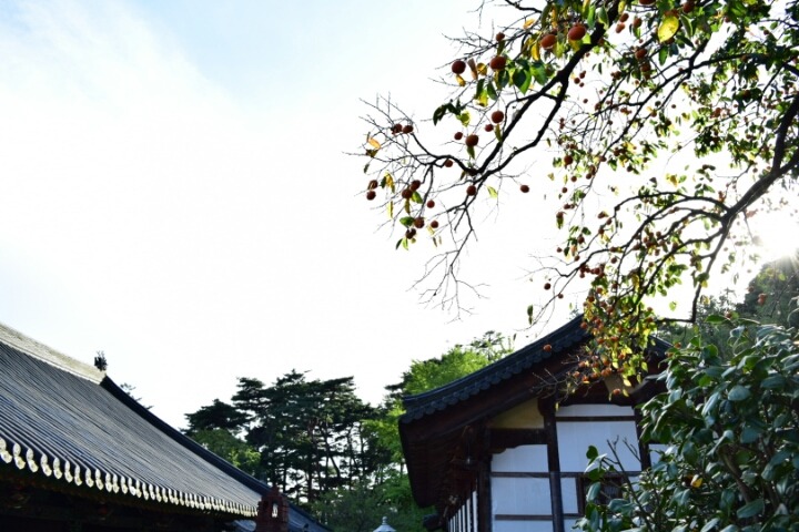 통도사 이미지