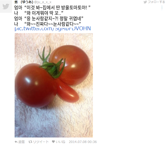 열도의 흔한 농작물들.jpg | 인스티즈