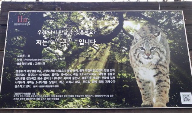 한국에서도 볼수있는 뿌리채소 | 인스티즈