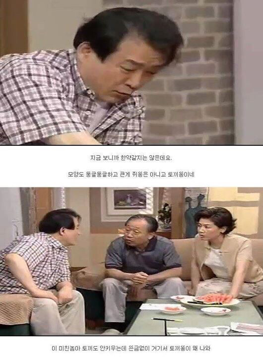 다시보는 레전드 토끼사건 | 인스티즈
