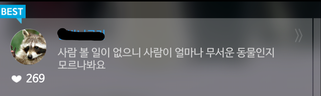 펭귄한테 역관광 당한 사람들 | 인스티즈
