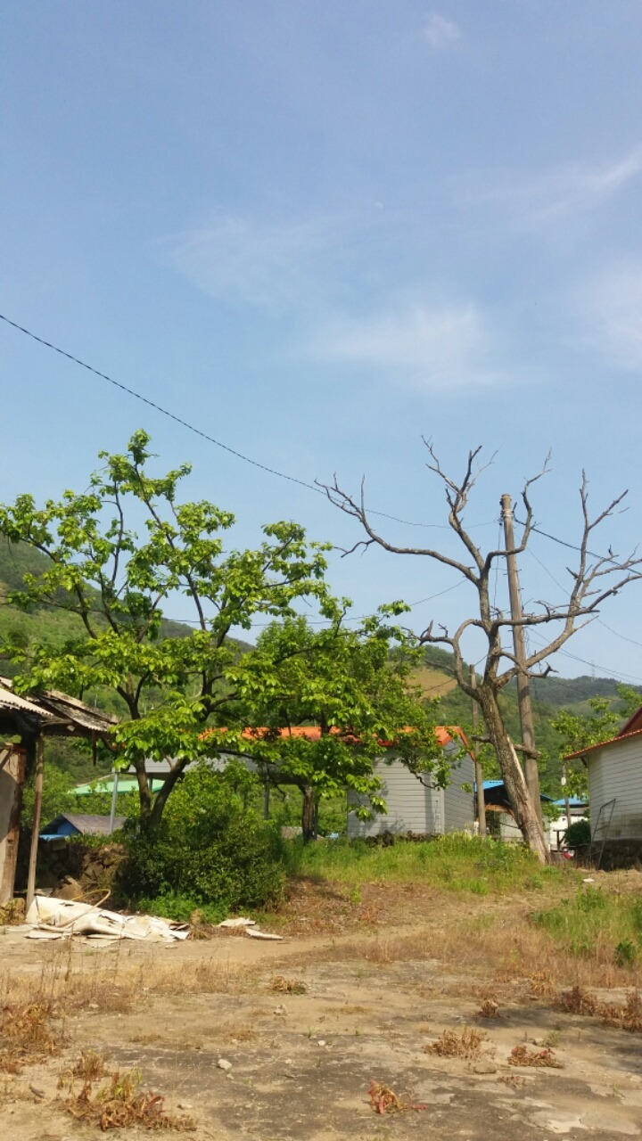 (주)농업회사법인 귀농 이미지