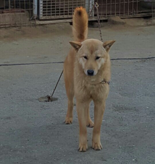 덕구네 이미지