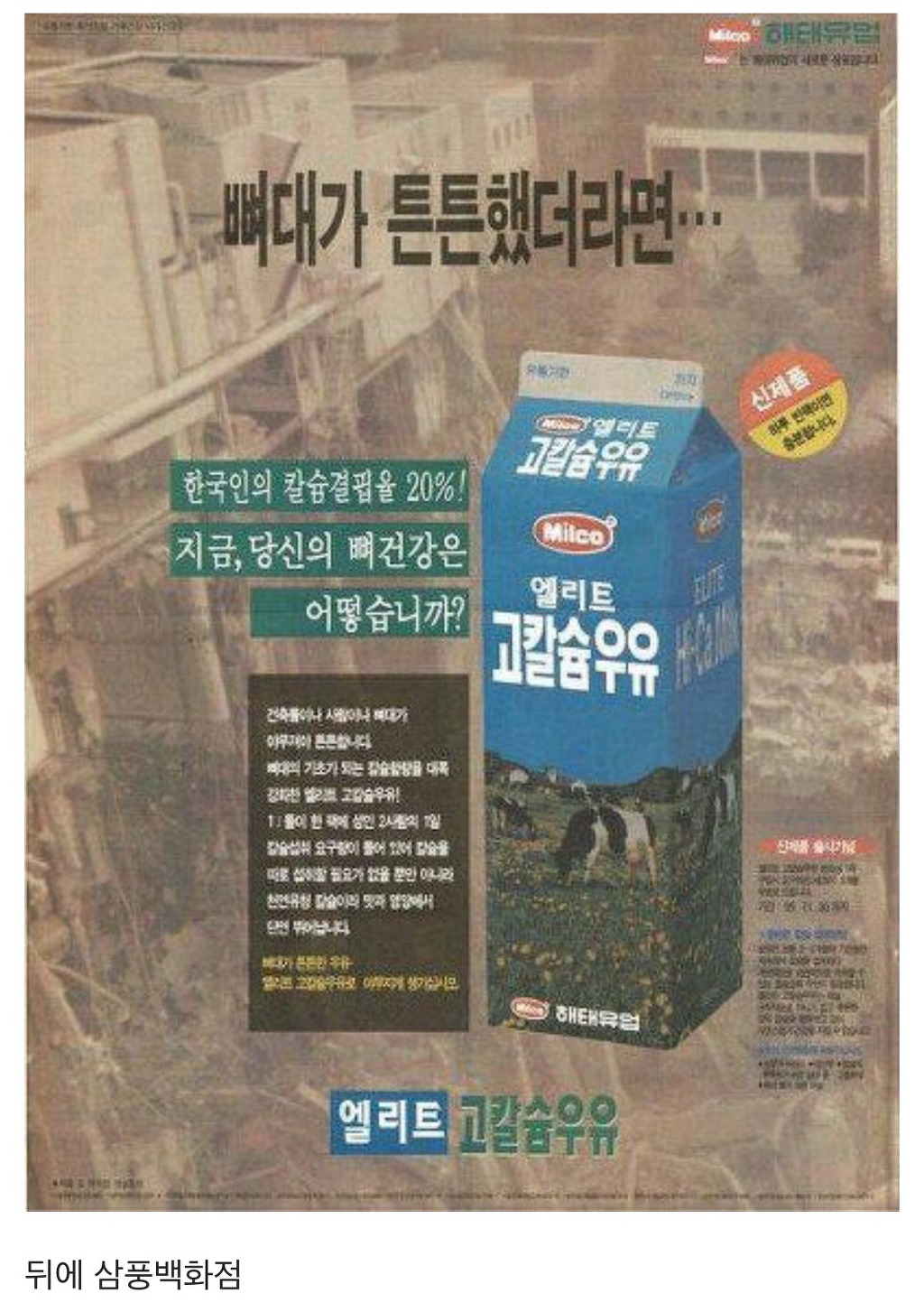대한민국 역대급 정신나간 광고 갑 | 인스티즈