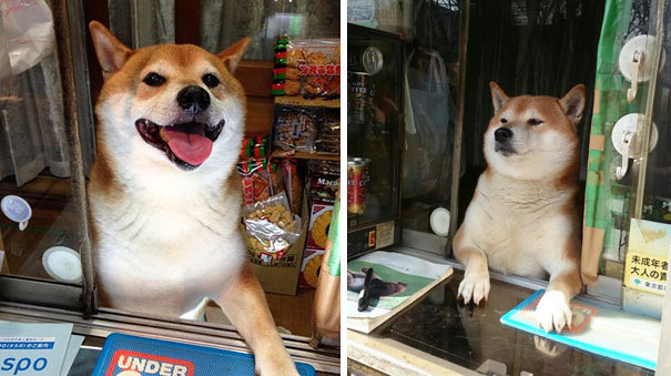 흔한가게 이미지