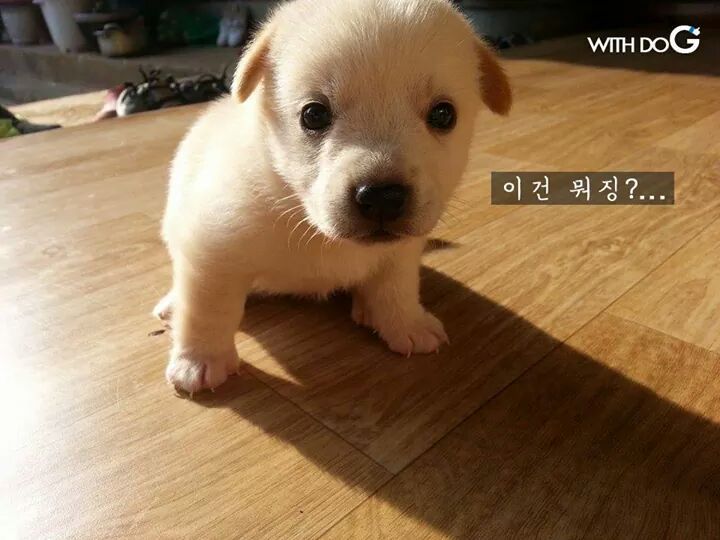 미림 이미지