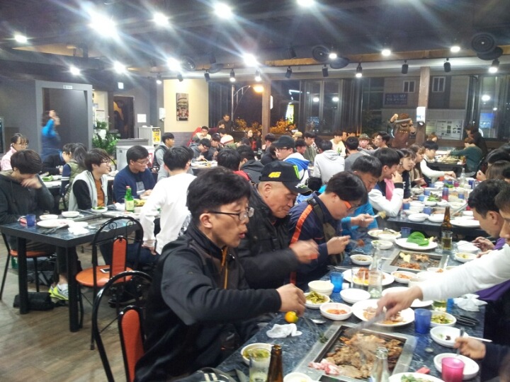 부산갈메기 이미지