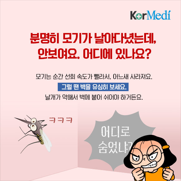 해충에 대한 오해와 진실(feat.바퀴)_약혐주의 | 인스티즈