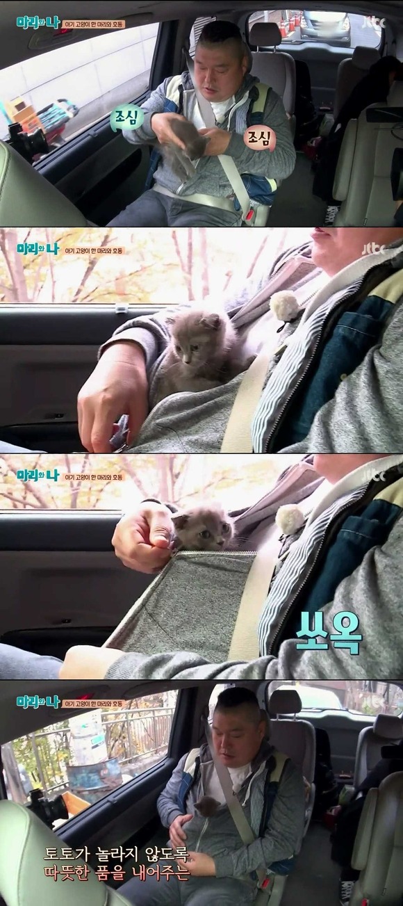 [마리와나] 케미가 냥냥 터지는 강호동과 새끼 고양이 토토.jpg | 인스티즈