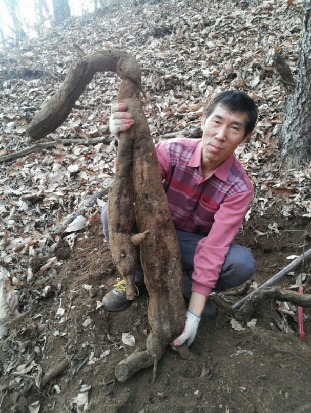 백년지기 이미지