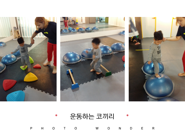 운동하는코끼리 이미지