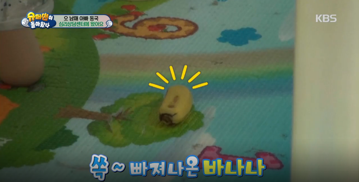 대박이의 아련아련 눈빛공격 (대박이의 성격은? 천성 vs 후천적 교육) | 인스티즈
