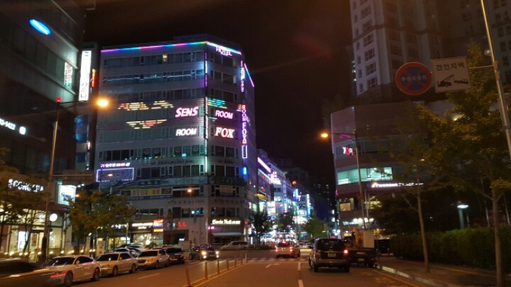 애니콜대리 이미지