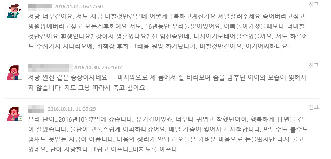 펫로스 증후군을 앓고 있는 사람들 | 인스티즈