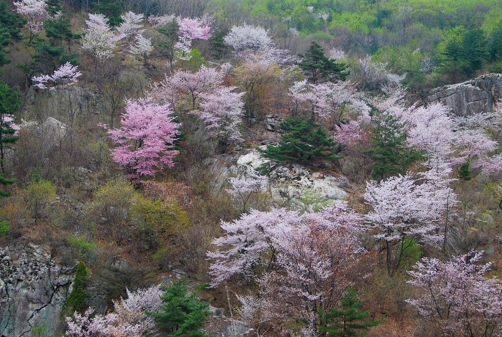 자연속의풍경 이미지