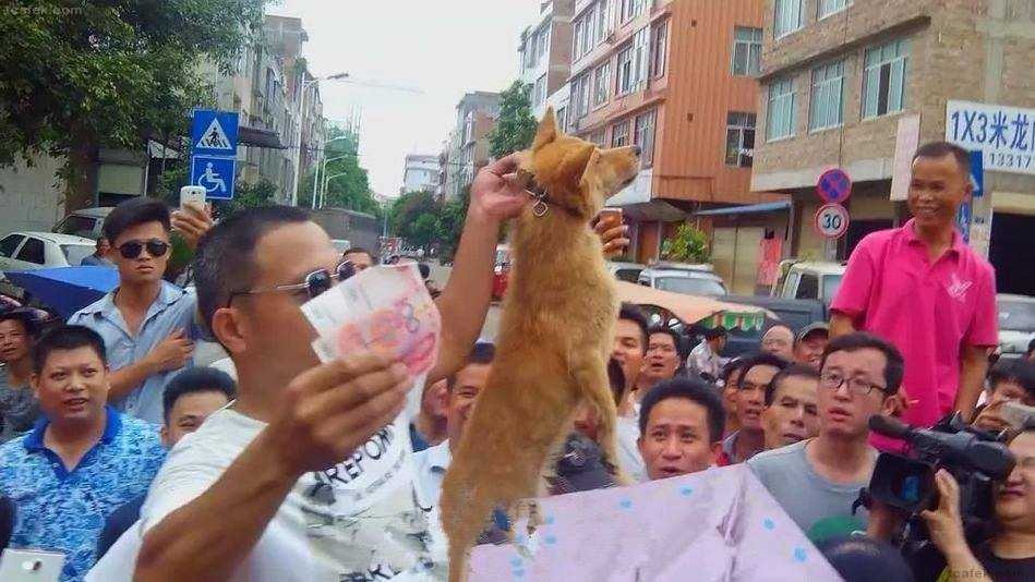 대륙의 개장수 | 인스티즈