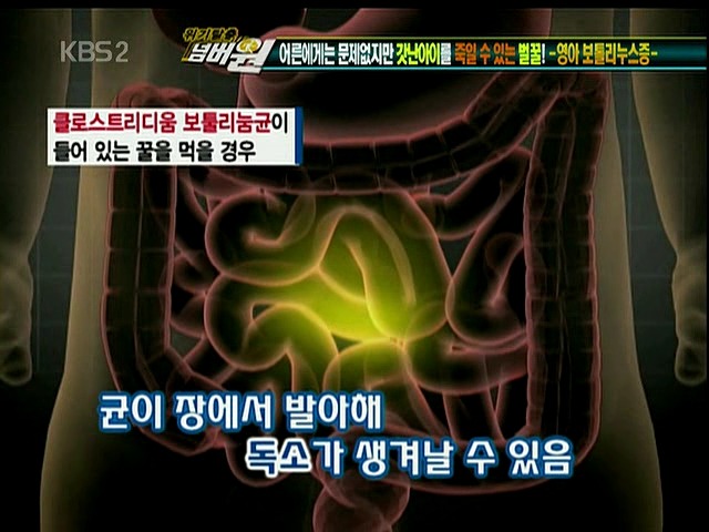 1살 미만 아이에겐 꿀을 절대 먹이면 안된다? | 인스티즈