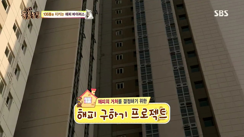 [동물농장] 106동 주민들이 키우는 강아지 | 인스티즈