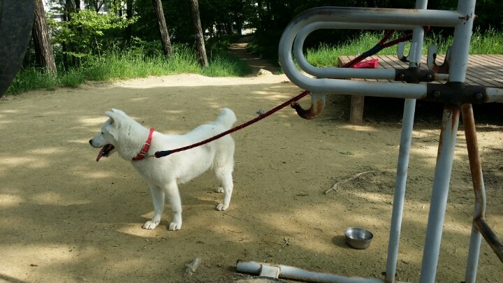 대복주유소 이미지