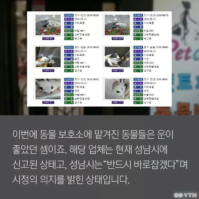 햄스터가 폐기물인가요? | 인스티즈
